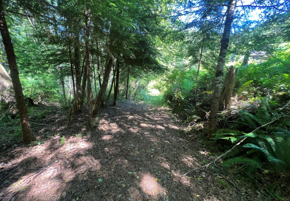 BCO-LotsA&BGraniteBay-QuadraIsland