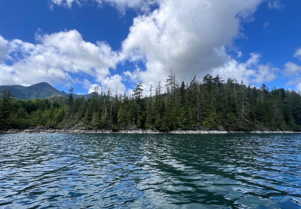 BCO -  Lot 1 Plumper Harbour Nootka Island 