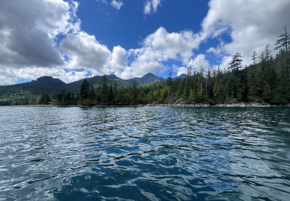 BCO -  Lot 1 Plumper Harbour Nootka Island 