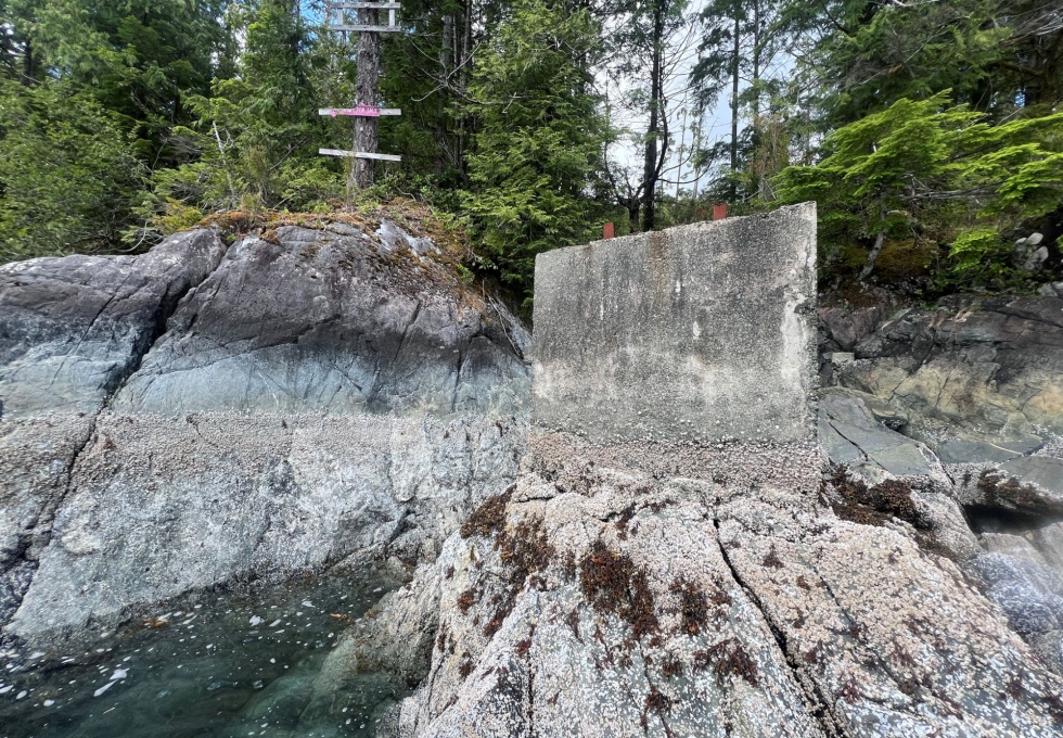 BCO -  Lot 1 Plumper Harbour Nootka Island 