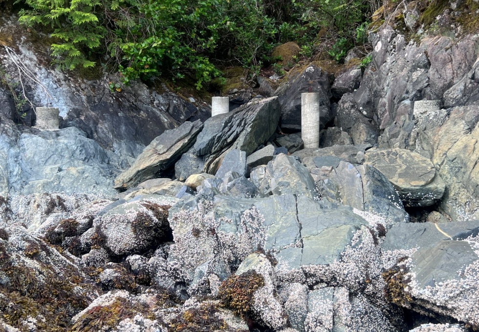 BCO -  Lot 1 Plumper Harbour Nootka Island 
