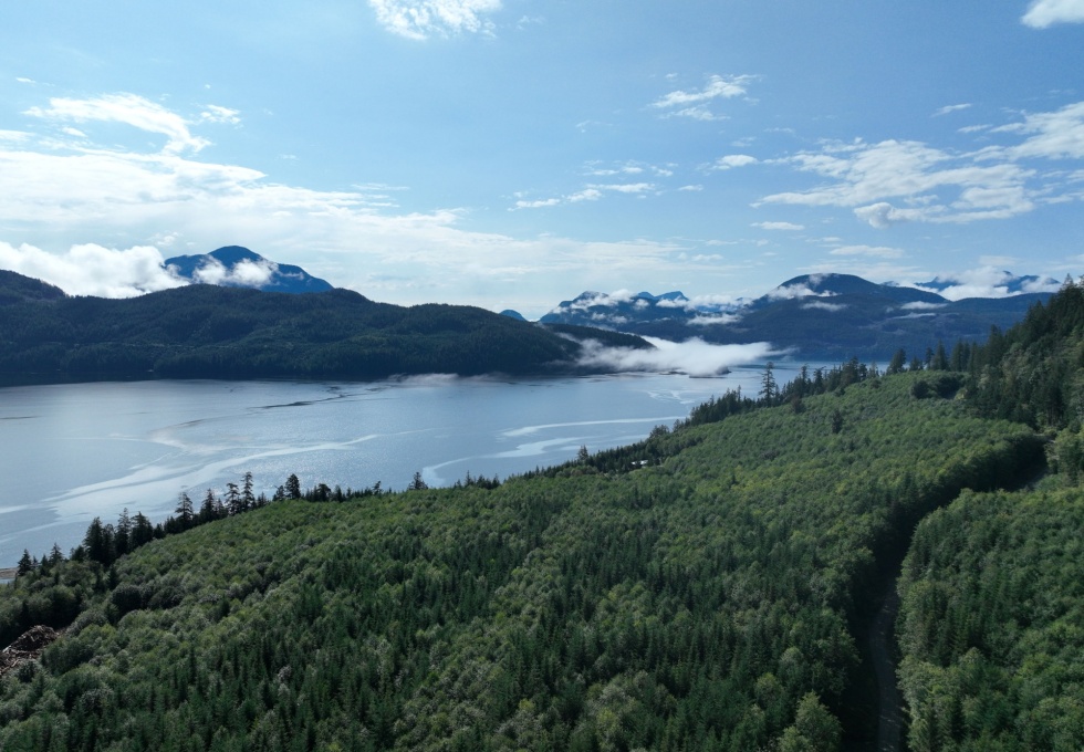BCO-DL1489JacksonBay-BCMainland