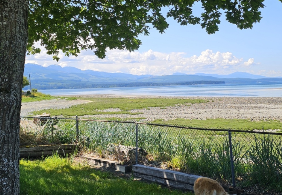 BCO - 5435 Deep Bay Dr, Bowser
