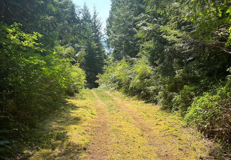 BCO - Lot A Owen Bay, Sonora Island