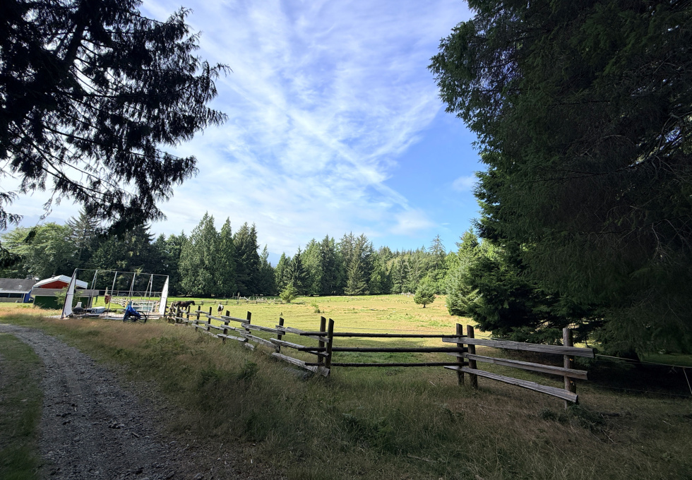 185 Kaleva Rd - pasture areas