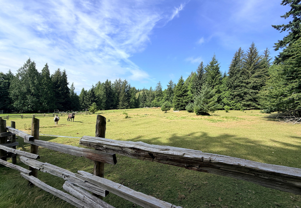185 Kaleva Rd - horse paddocks
