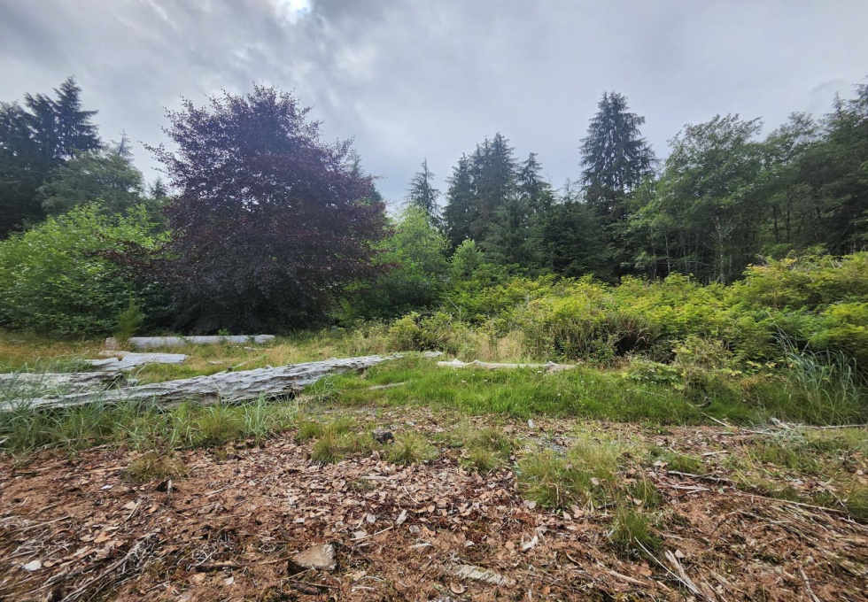 DL389 McBride Bay
