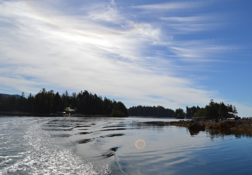 Lots 2&3 Walters Island