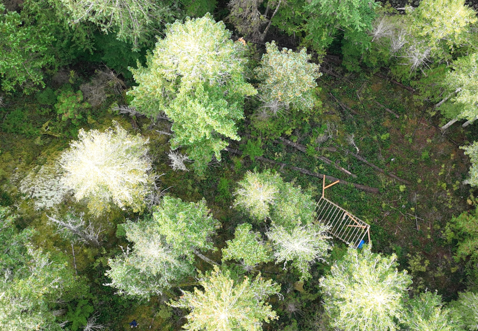 Lot 42 Sonora Island - aerial overview 