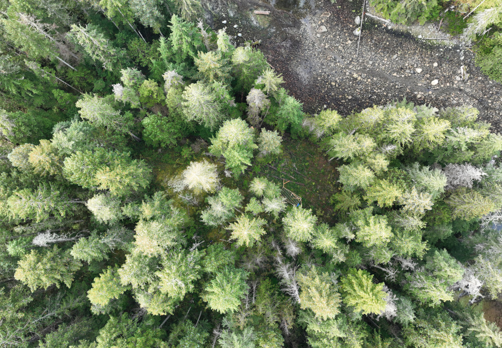 Lot 42 Sonora Island - aerial overview 