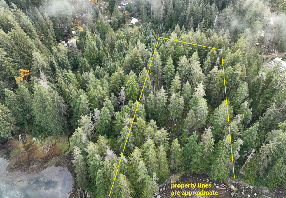 Lot 42 Sonora Island - aerial overview with lines