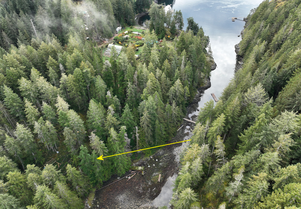 Lot 42 Sonora Island - aerial overview with arrow