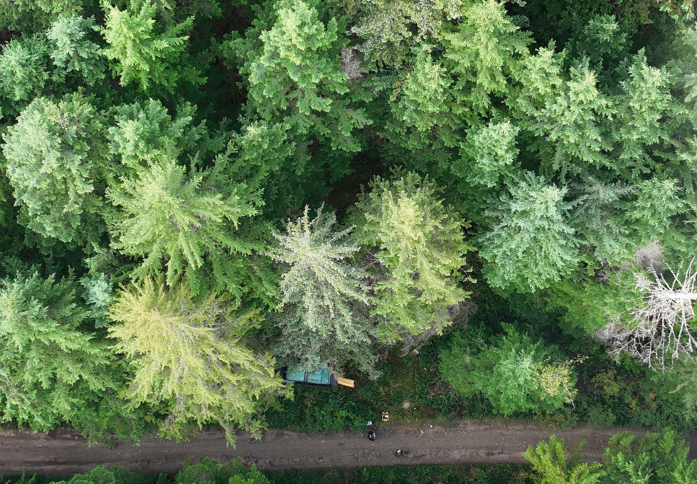Lot 42 Sonora Island - aerial overview 