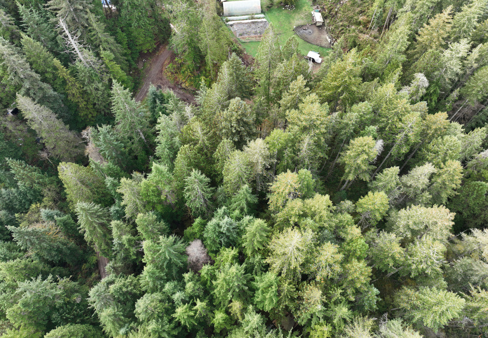 Lot 42 Sonora Island - aerial overview 