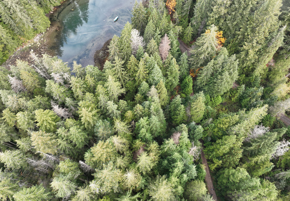 Lot 42 Sonora Island - aerial overview 