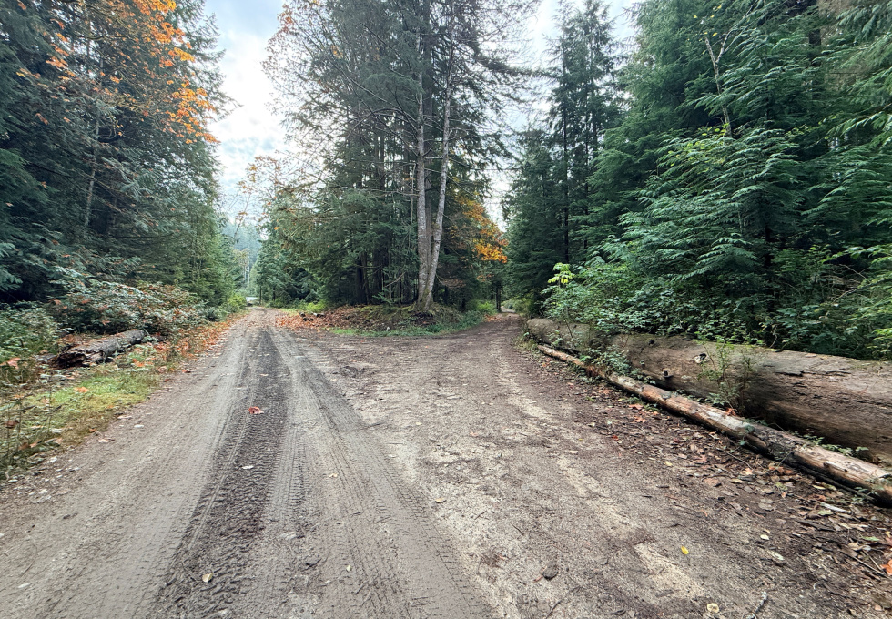 Lot 42 Sonora Island - Sonora road