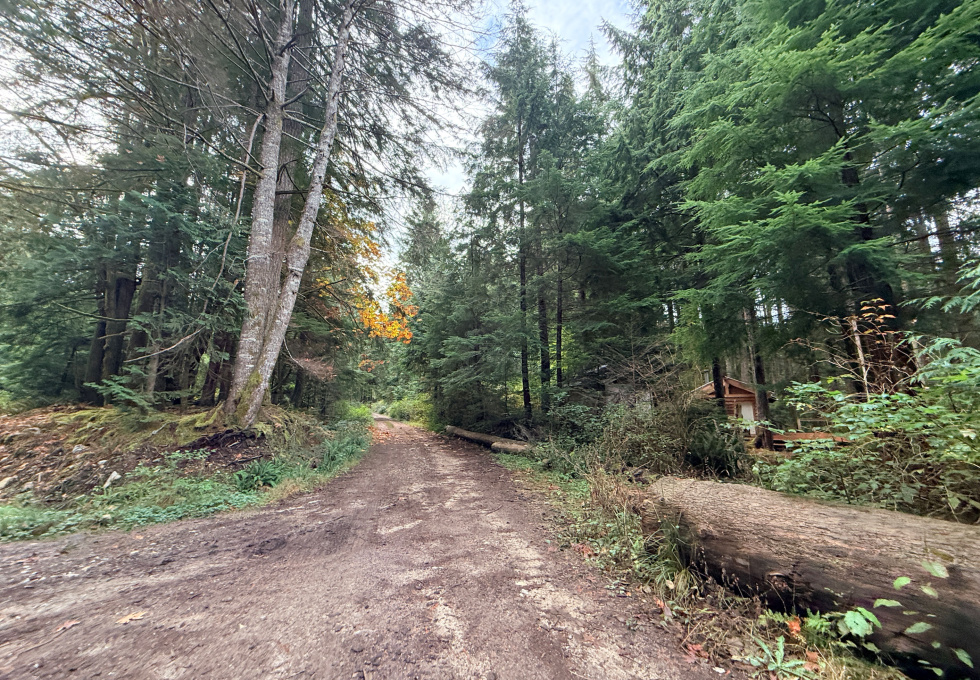 Lot 42 Sonora Island - Sonora road