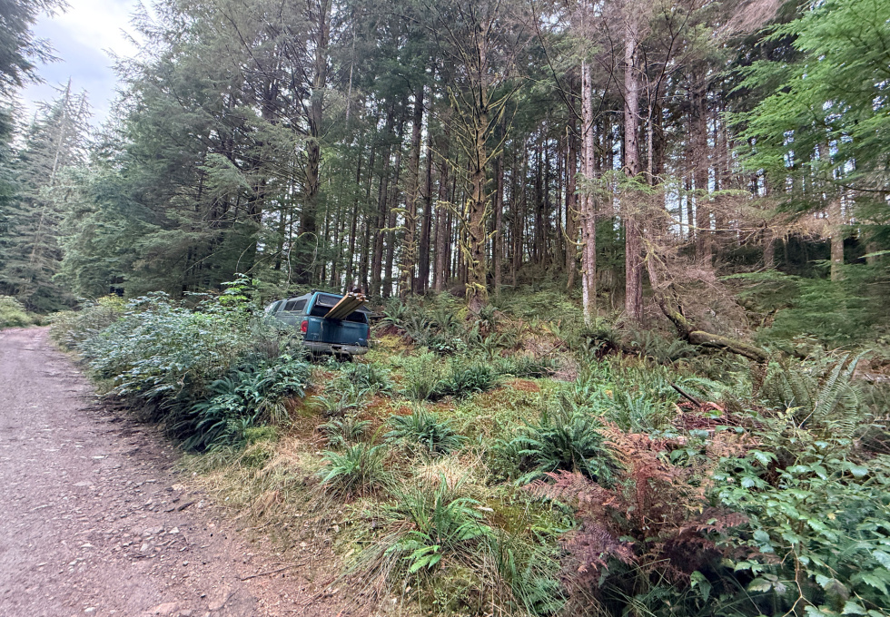 Lot 42 Sonora Island - roadway and the truck