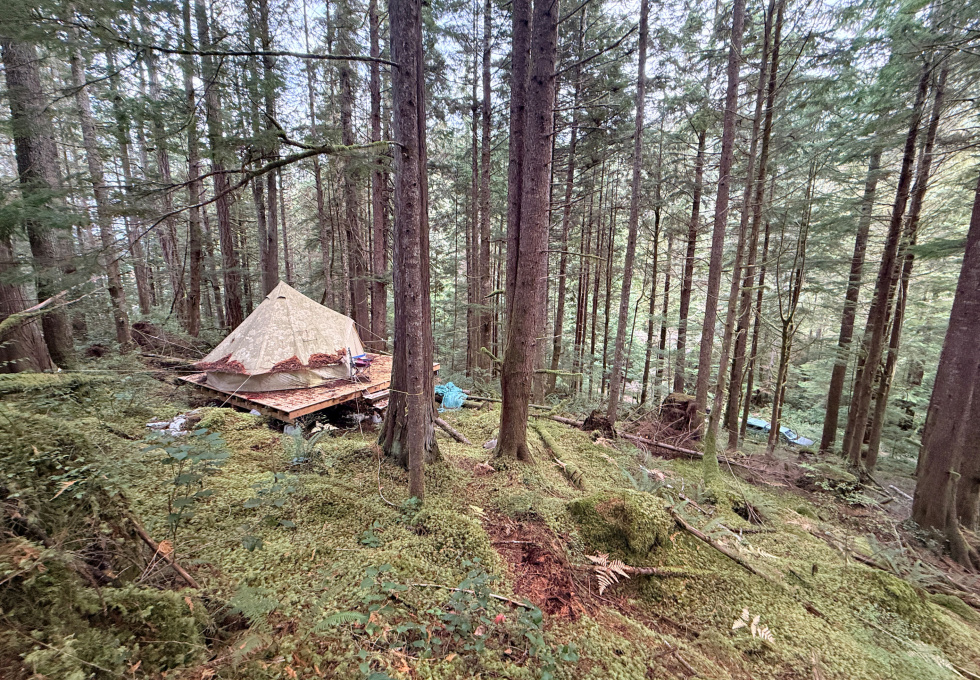 Lot 42 Sonora Island - tent platform from the side
