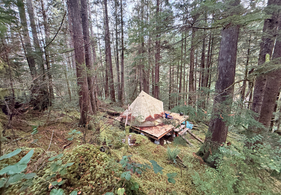 Lot 42 Sonora Island - tent platform from above