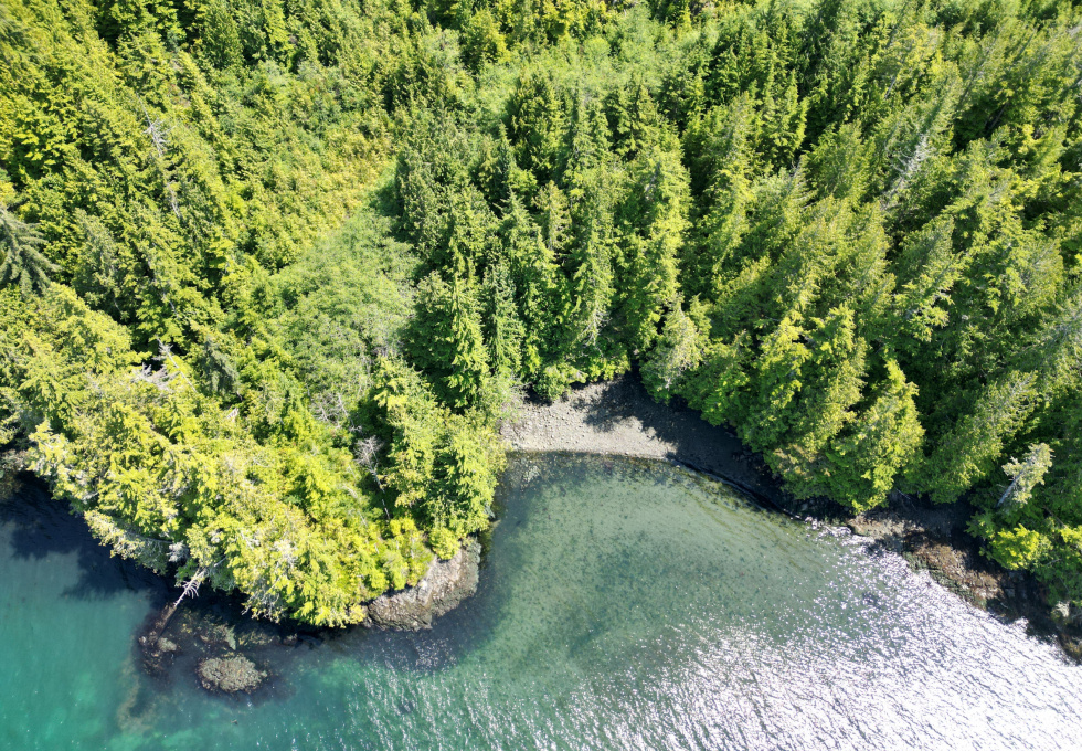 Cape Scott, Block C Shushartie