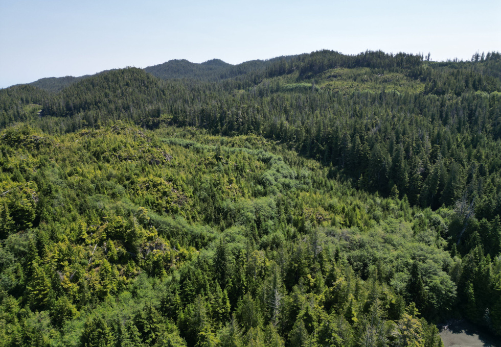 Cape Scott, Block C Shushartie