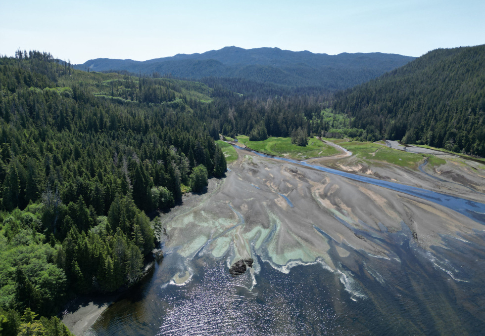 Cape Scott, Block C Shushartie