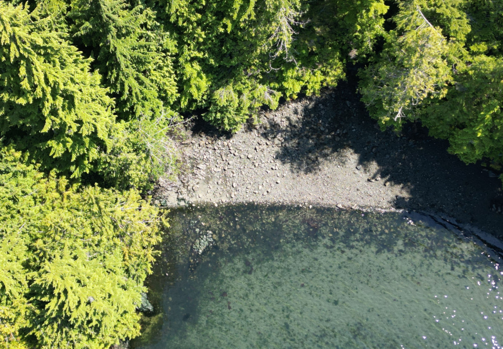 Cape Scott, Block C Shushartie
