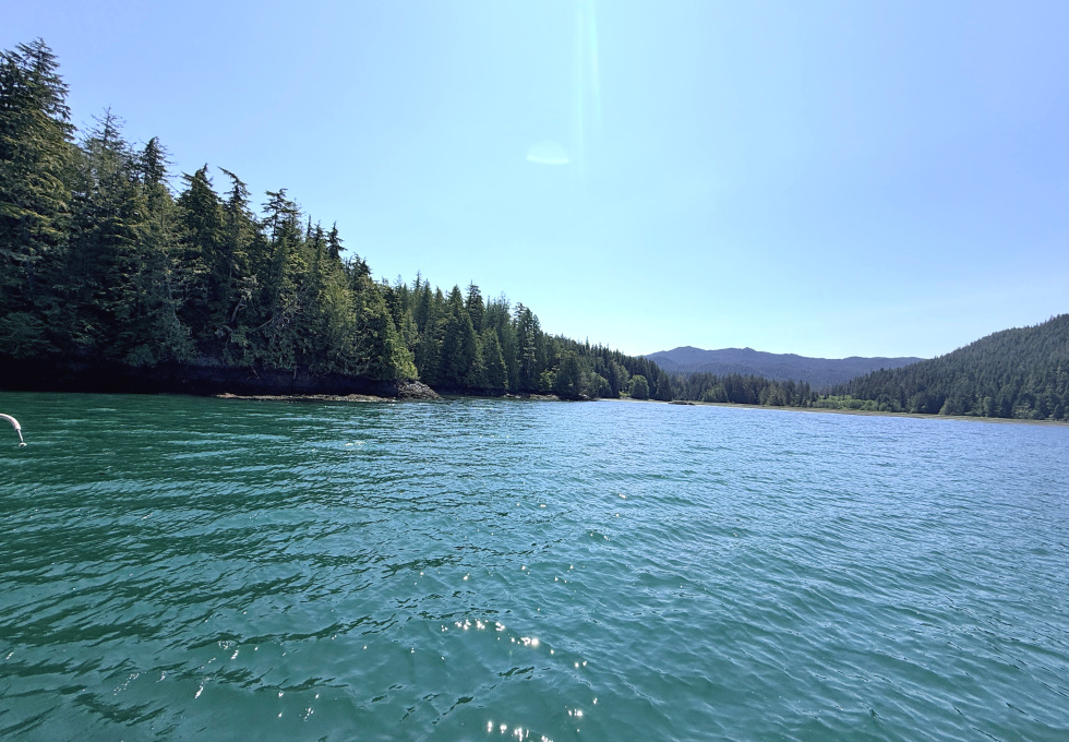 Cape Scott, Block C Shushartie