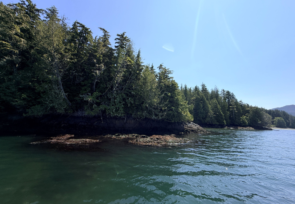 Cape Scott, Block C Shushartie
