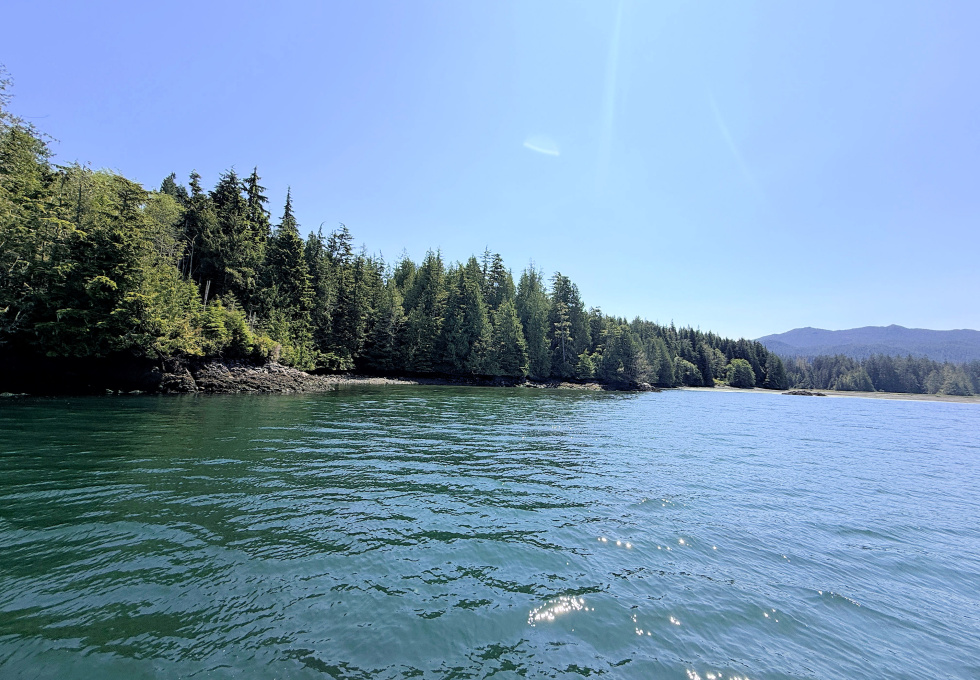 Cape Scott, Block C Shushartie