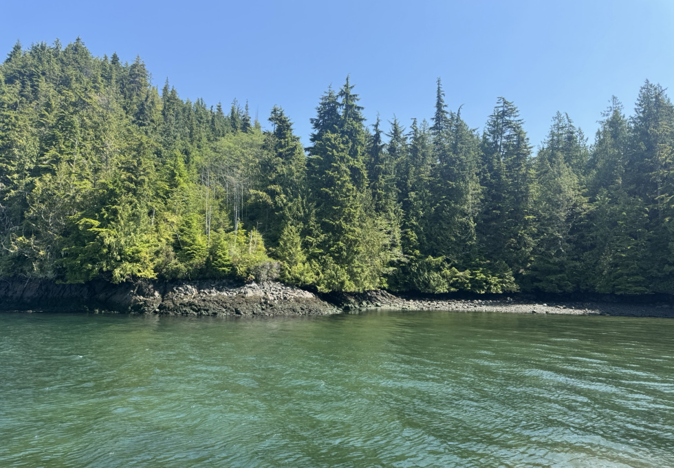 Cape Scott, Block C Shushartie