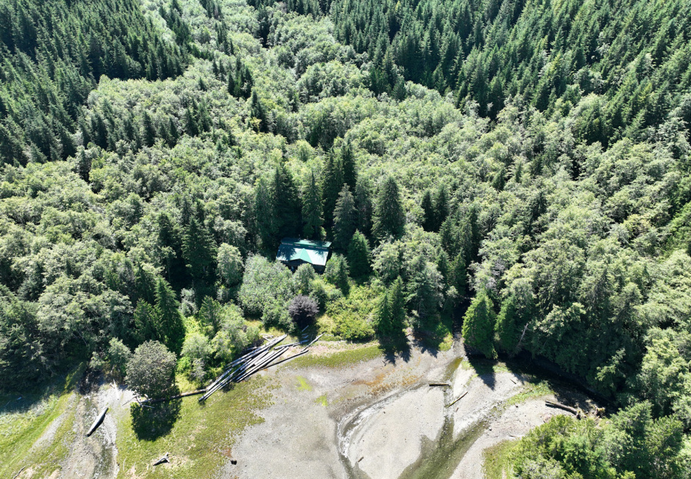 DL389 McBride Bay