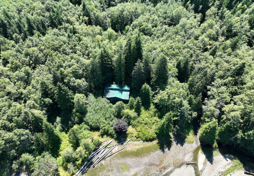 DL389 McBride Bay