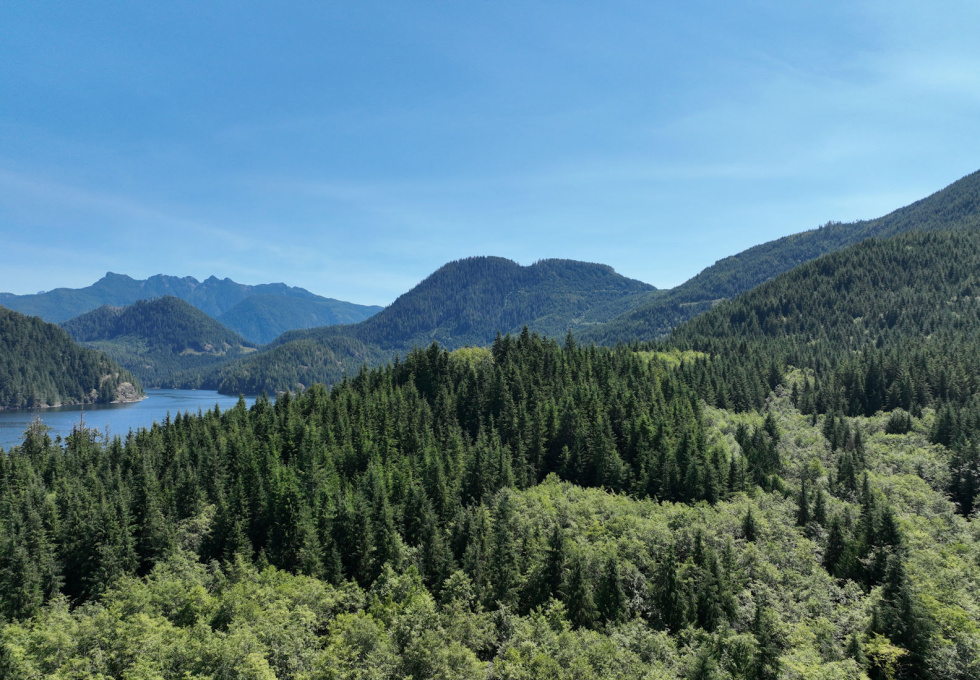 DL389 McBride Bay