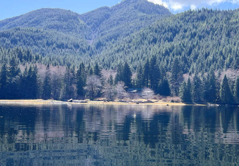 DL389 McBride Bay