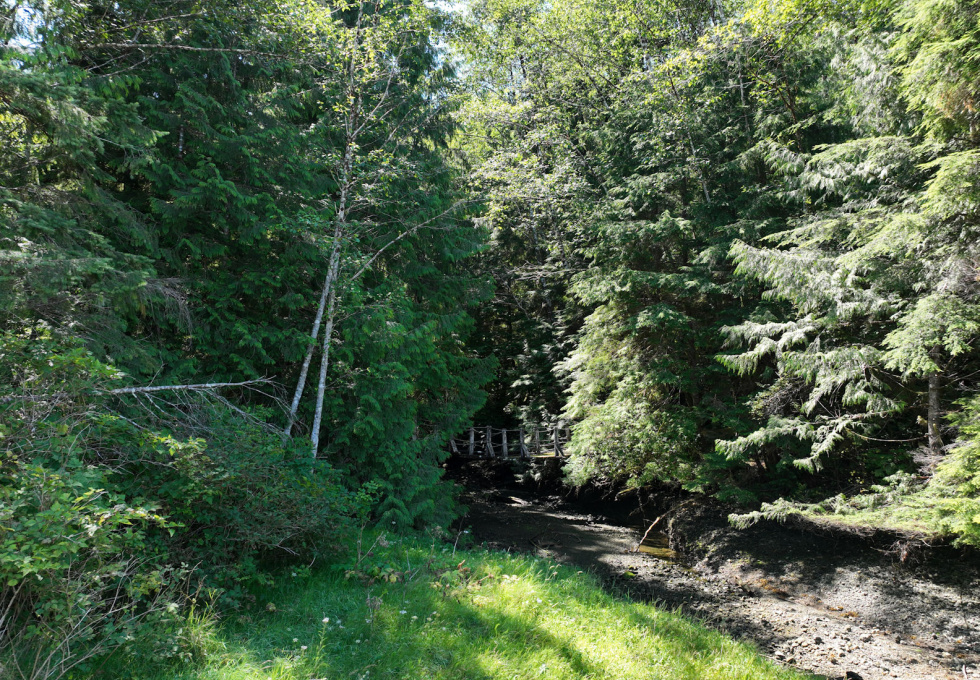 DL389 McBride Bay