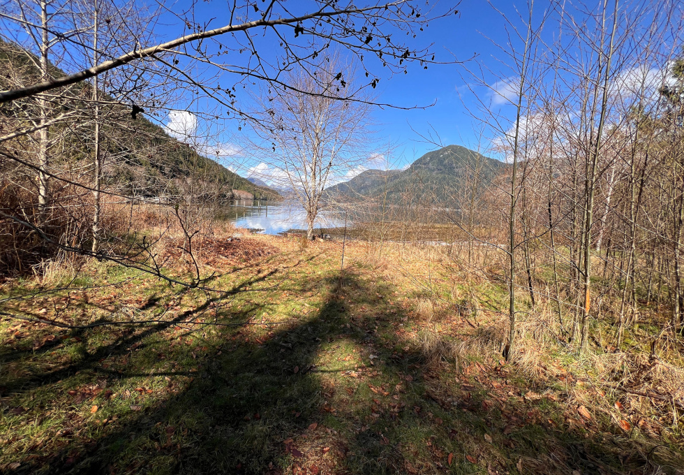 DL389 McBride Bay