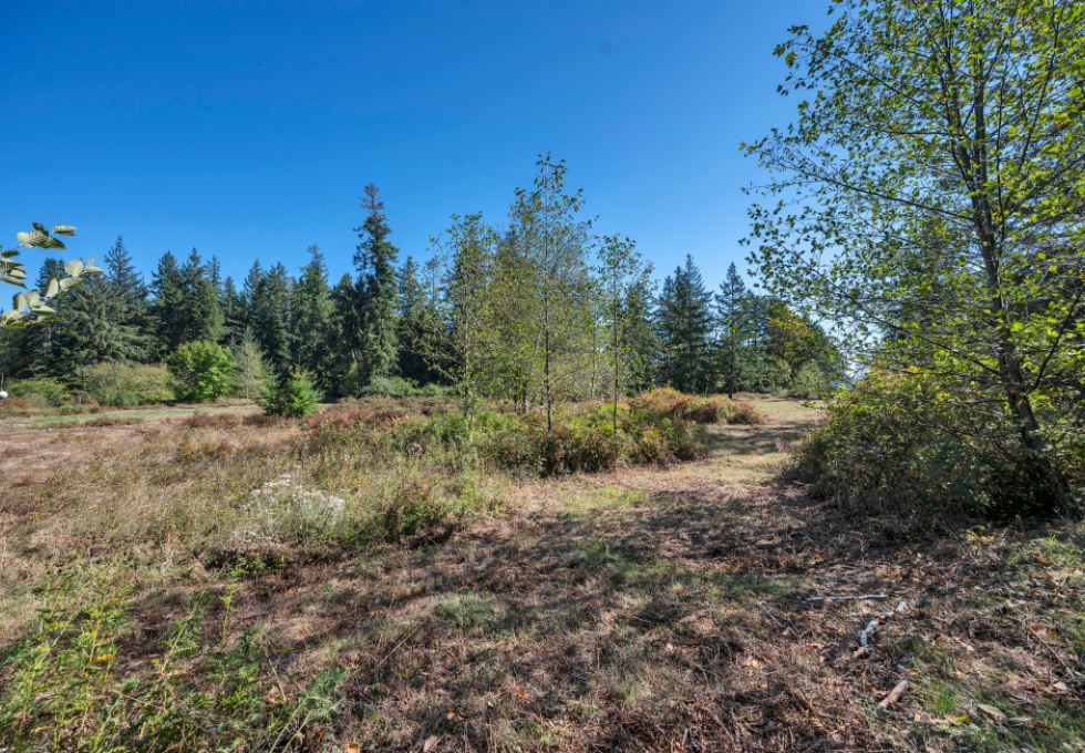 SL3 129 Joyce Rd, Quadra Island