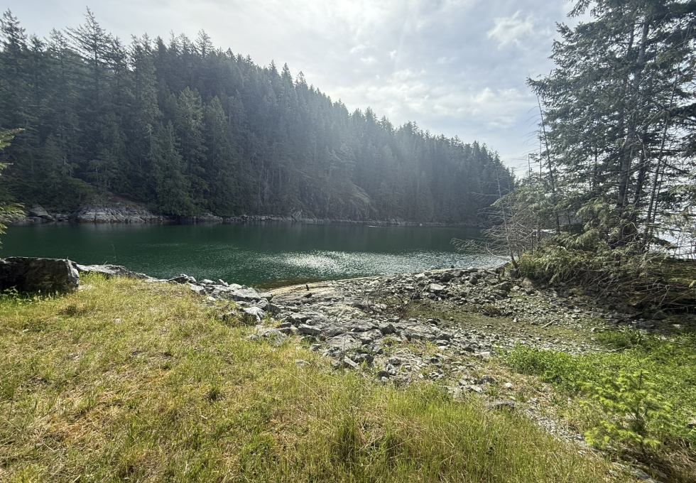 Read Island, DL453