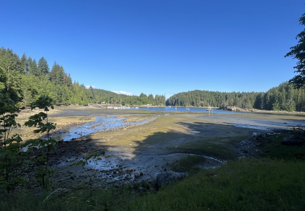 BCO-LotsA&BGraniteBay-QuadraIsland