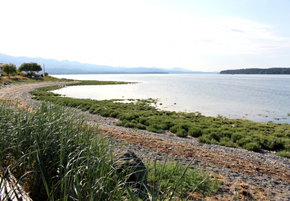 BCO - 5435 Deep Bay Dr, Bowser
