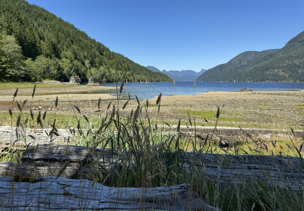 DL389 McBride Bay