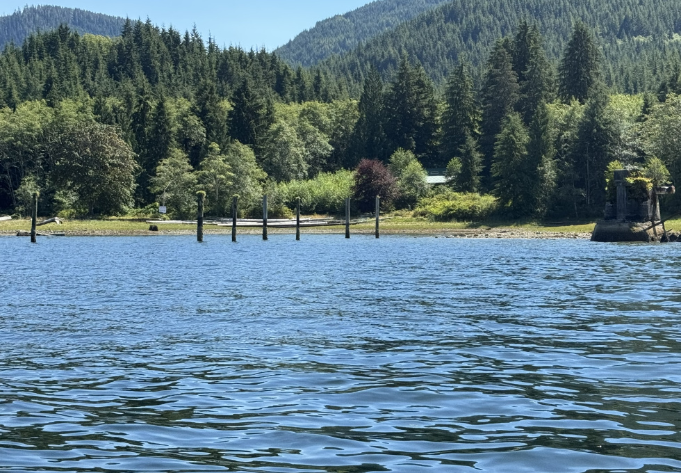 DL389 McBride Bay