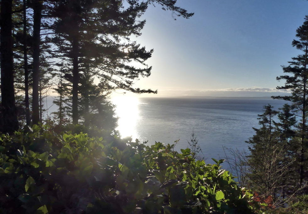 BCO - SL4 129 Joyce Rd