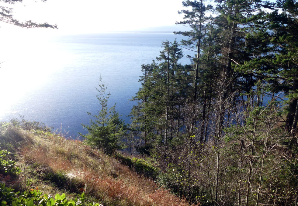 BCO - SL4 129 Joyce Rd