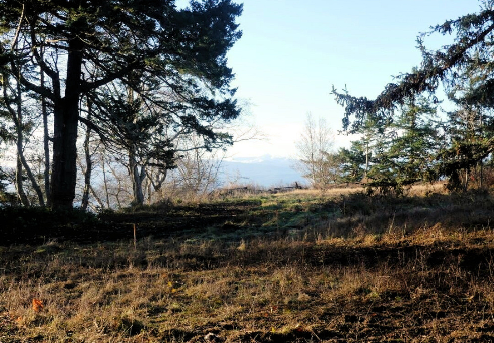 BCO - SL4 129 Joyce Rd