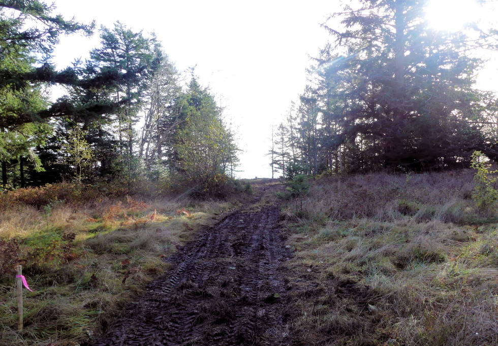 BCO - SL4 129 Joyce Rd