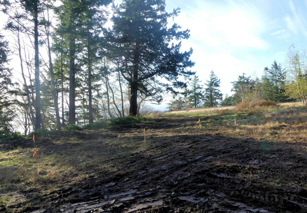 BCO - SL4 129 Joyce Rd