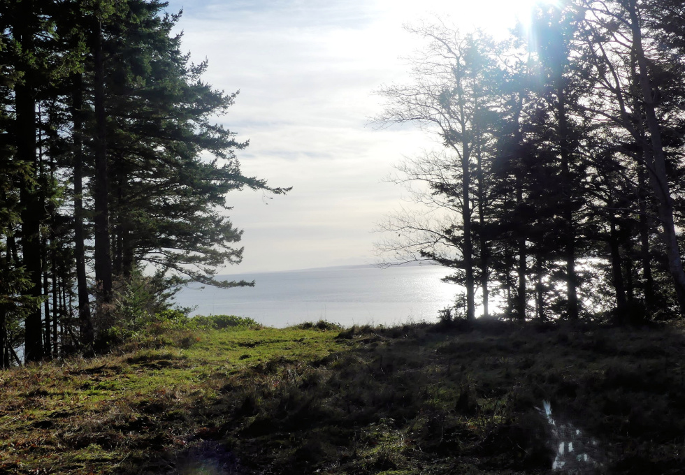 BCO - SL4 129 Joyce Rd